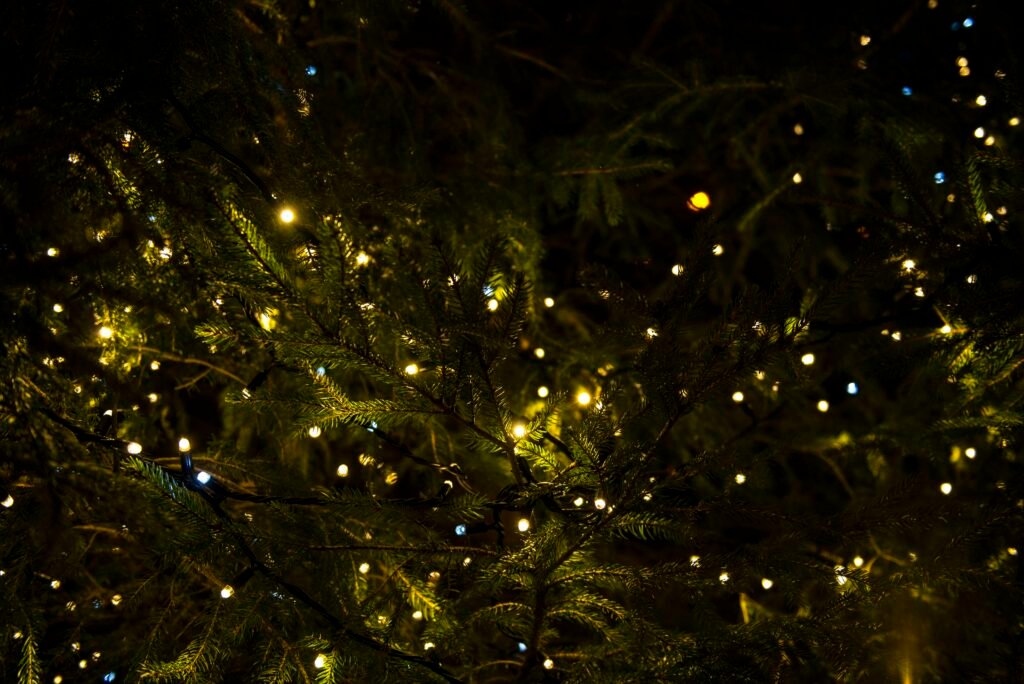 Creating a Festive Atmosphere: Easy Christmas Tree Lighting Tips